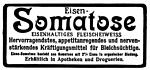 Eisen-Somatose 1905 496.jpg